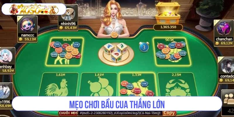Bỏ túi kinh nghiệm chơi thắng đậm từ các chuyên gia cá cược. 