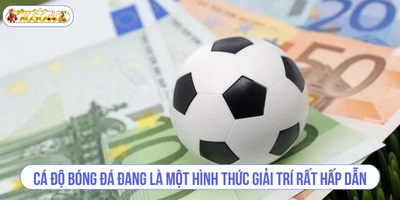 Cá độ bóng đá đang là một hình thức giải trí rất hấp dẫn.