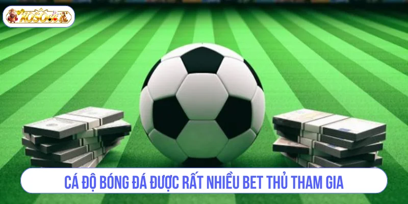 Cá độ bóng đá được rất nhiều bet thủ tham gia.