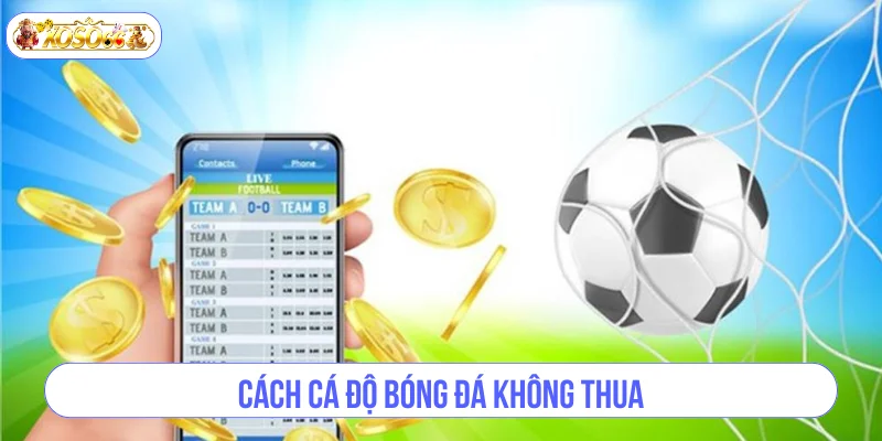 Cách Cá Độ Bóng Đá Không Thua Từ Chia Sẻ Chuyên Gia XOSO66