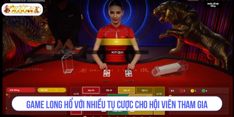 Chọn đặt Rồng hoặc Hổ để có xác suất ăn thưởng cao.