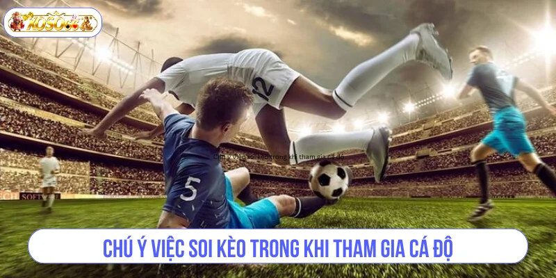 Chú ý việc soi kèo trong khi tham gia cá độ.