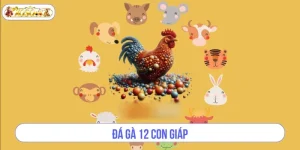 Đá Gà 12 Con Giáp Tại XOSO66 – Sân Chơi Độc Đáo Cho Sư Kê