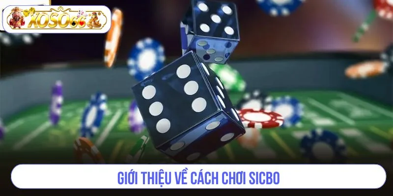 Đôi nét giới thiệu về cách chơi Sicbo - chủ đề được quan tâm nhất hiện nay. 