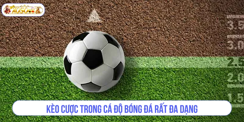 Kèo cược trong cá độ bóng đá rất đa dạng.