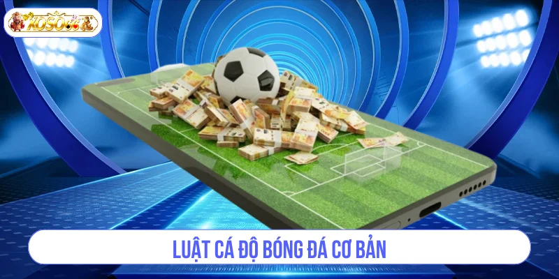 Luật Cá Độ Bóng Đá Cơ Bản Bet Thủ Nên Nắm Rõ Khi Chơi