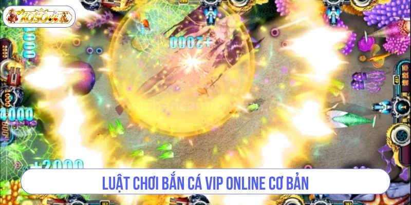 Nắm rõ luật chơi giúp bạn nhập cuộc săn cá thật dễ dàng.