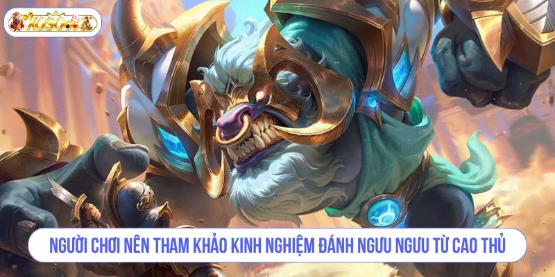 Người chơi nên tham khảo kinh nghiệm đánh Ngưu Ngưu từ cao thủ.
