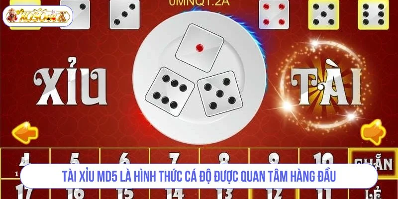 Tài xỉu MD5 là hình thức cá độ được quan tâm hàng đầu.