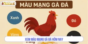 Xem Màu Mạng Gà Đá Hôm Nay: Bắt Kèo Ăn Đậm Tại XOSO66